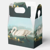 スワン オードゥボン 鳥 白 水 スワン フェイバーボックス (オープン)