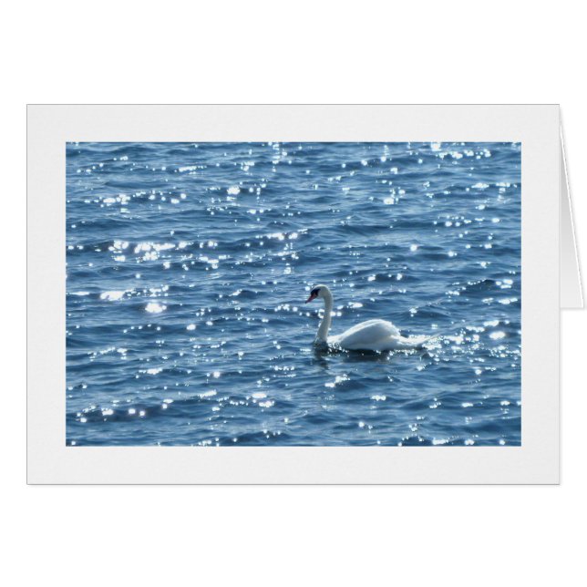 スワン・カーディフ・ベイ、カーディフ、ウェールズ (正面横)