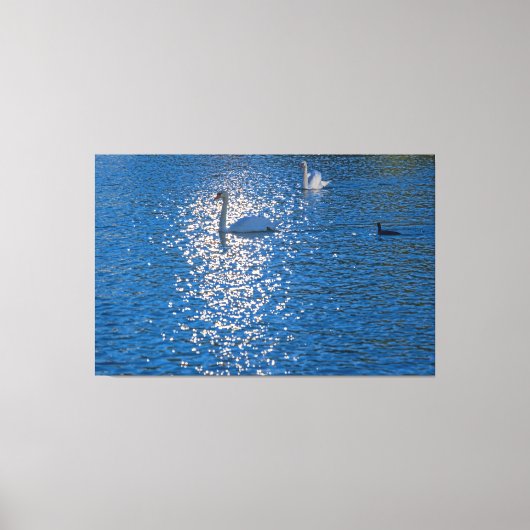 スワン キャンバスプリント (正面)