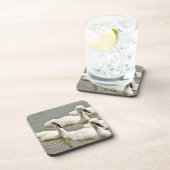 スワン・シグネッツ泳ぎ コースター (右側)