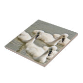 スワン・シグネッツ泳ぎ タイル (側面)