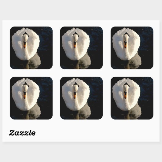 スワン スクエアシール (シート)