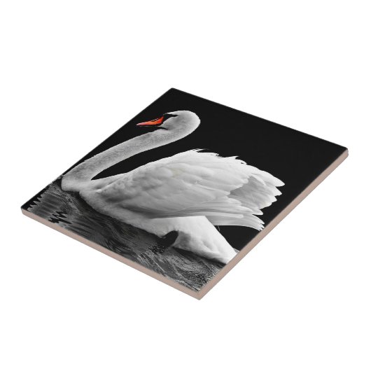 スワン タイル (側面)