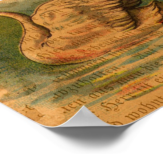 スワン ポスター (角)