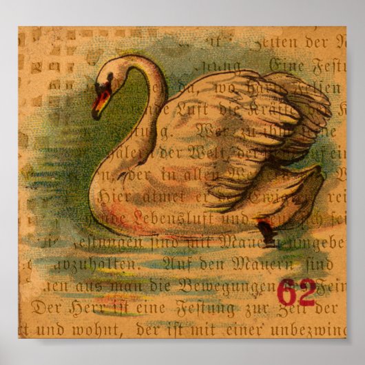 スワン ポスター (正面)