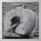 スワン ポスター (正面)