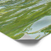 スワン ポスター (角)