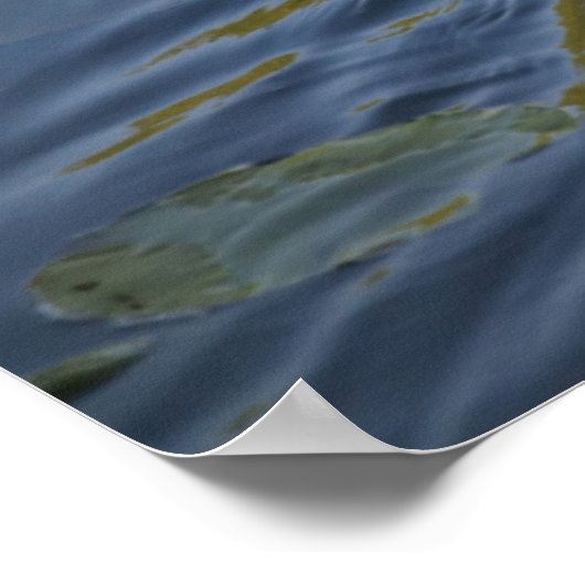 スワン ポスター (角)