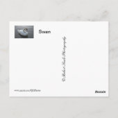 スワン ポストカード (裏面)