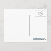 スワン ポストカード (裏面)