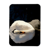 スワン マグネット (縦)