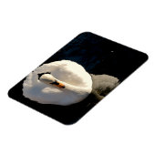 スワン マグネット (左側)