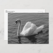スワン。ロースパークレイク,カーディフ,ウェールズB&Wはがき ポストカード (正面/裏面)