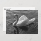 スワン。ロースパークレイク,カーディフ,ウェールズB&W ポストカード (正面/裏面)