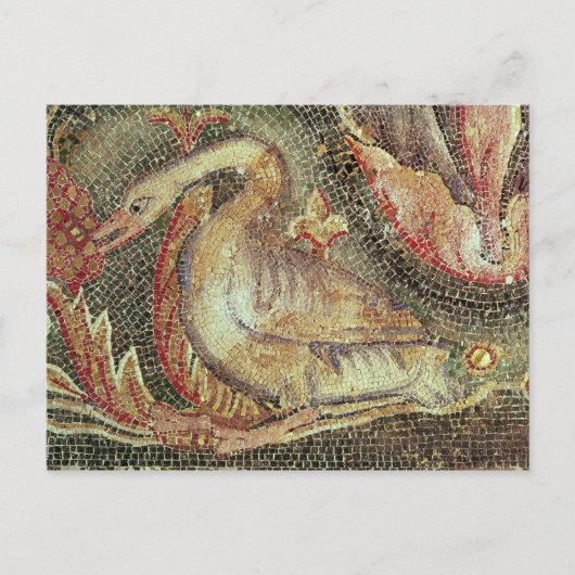 スワン、復元c.1200 ポストカード (正面)