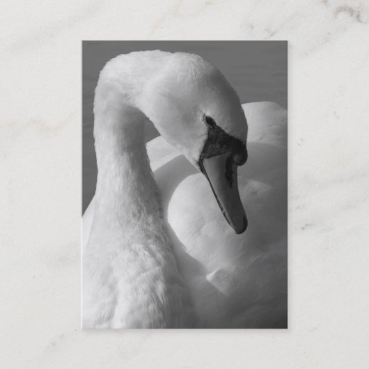 スワンB&W 名刺 (正面)