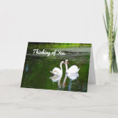 スワ考えるンズ·オブ·ユー カード (正面)