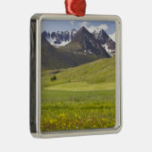 スヴァルファダルル渓谷の風光明媚な風景 メタルオーナメント (右)