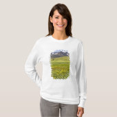 スヴァルファダル谷の風景 Tシャツ (正面フル)