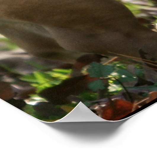 スーという少年 ポスター (角)