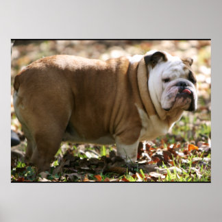 スーという少年 ポスター