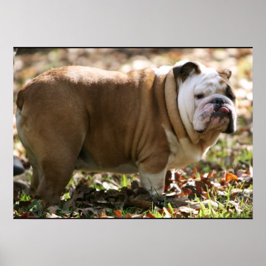 スーという少年 ポスター (正面)