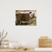 スーという少年 ポスター (キッチン)