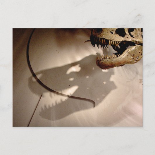 スーの影 ポストカード (正面)