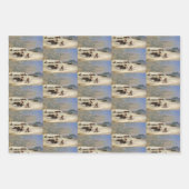 スーインディアンオンスノーシューズランキングバッファロー ラッピングペーパーシート (正面3)