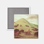 スーインディアン狩りバッファロー, 1835 (キャンバス上の油) マグネット (正面/裏面)