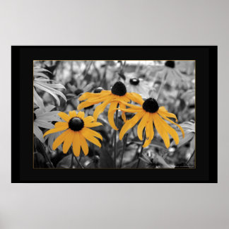 スーザン3 ポスター