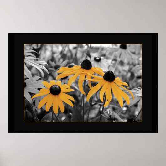 スーザン3 ポスター (正面)