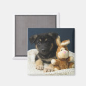 スージーQ マグネット (正面/裏面)