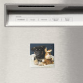 スージーQ マグネット (インサイチュ (食洗機))