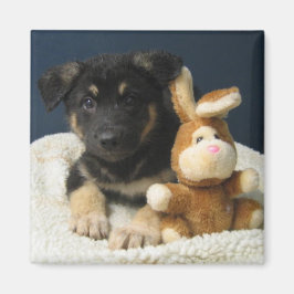 スージーQ マグネット