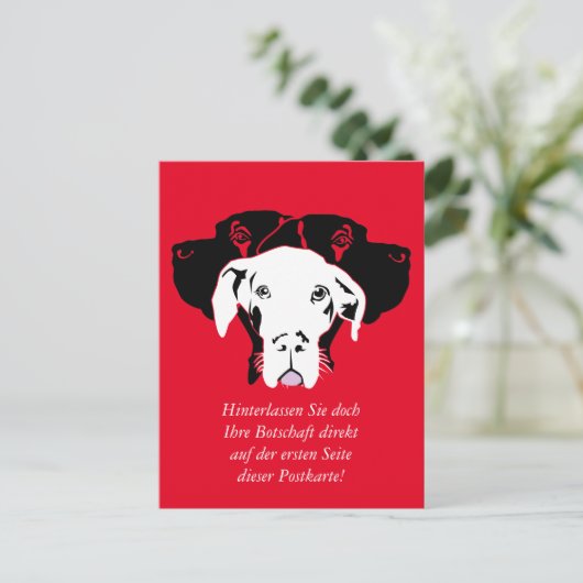 スース・ドッゲ（ワイス単位） ポストカード (スタンド正面)