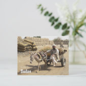 スーダンのロバ・カート ポストカード (スタンド正面)