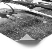 スーチーズエドワードSカーティス1905 ポスター (角)