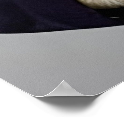 スーツを着た壁アートのアライグマの紳士 ポスター (角)