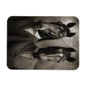 スーツを着た馬 マグネット (横)