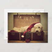 スーツケースで寝ている犬 シーズンポストカード (正面/裏面)