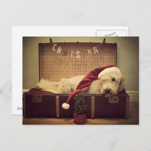 スーツケースで寝ている犬 シーズンポストカード (正面/裏面)