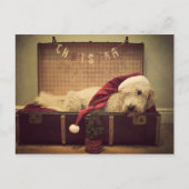スーツケースで寝ている犬 シーズンポストカード (正面)