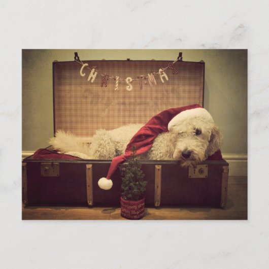スーツケースで寝ている犬 シーズンポストカード (正面)