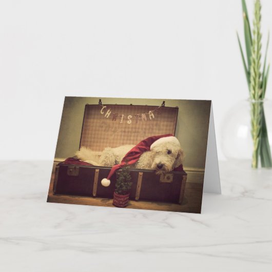 スーツケースで眠っている犬 シーズンカード (正面)