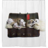 スーツケースに入ったブルドッグの子犬かわいいブルドッグの子犬 シャワーカーテン (正面)