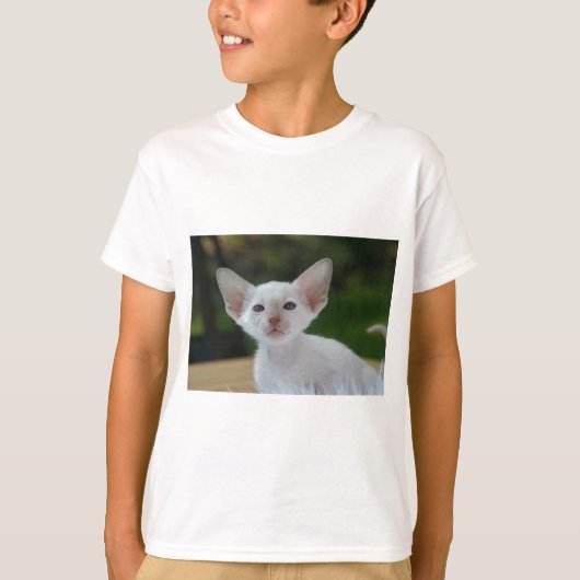 スーパーキュートなシャムの子猫 Tシャツ (正面)