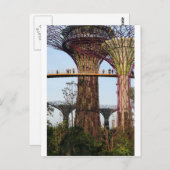 スーパーツリーグローブガーデンズバイザベイシンガポール ポストカード (正面/裏面)