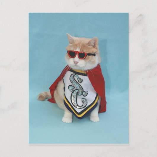 スーパーヒーローババ ポストカード (正面)