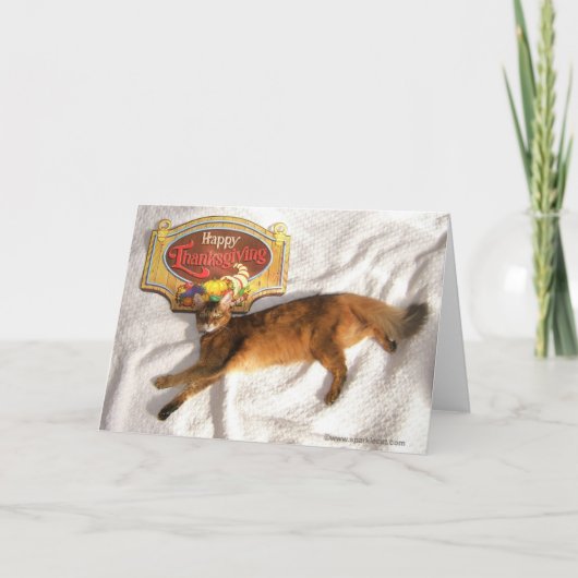 スーパーモデル感謝祭カードを輝かせる シーズンカード (正面)